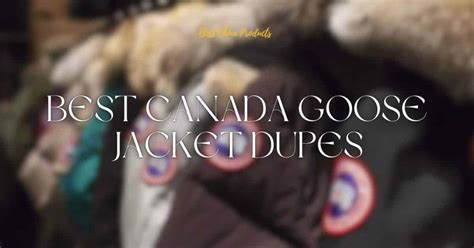 The 10 Best Canada Goose Jacket Dupes 